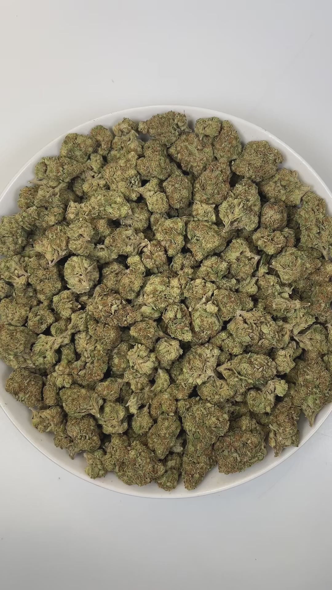 PUFFY Bacio Gelato is a balanced hybrid THCa strain born from the legendary cross of Sunset Sherbert and Thin Mint Girl Scout Cookies. The aroma is gassy, layered with earthy thyme and crisp pine, delivering a sharp yet refreshing sensory kick. Visually, buds are dense and chunky, with forest green and purple tones, fiery orange pistils, and a frosty trichome coating. Consumers describe it as gentle yet uplifting, providing clear-headed calm and a subtle mood boost that eases tension while keeping you prese