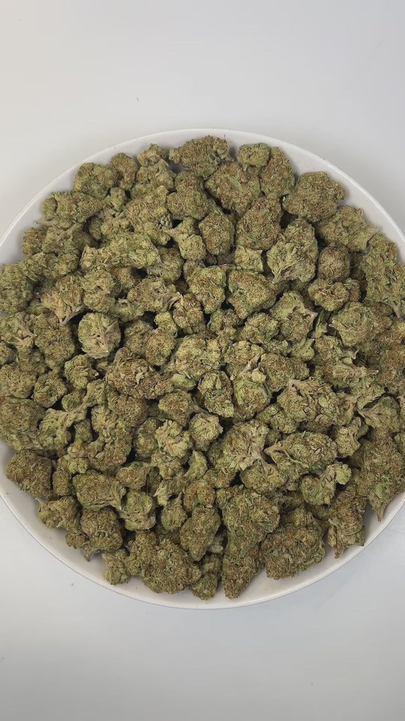 PUFFY Bacio Gelato is a balanced hybrid THCa strain born from the legendary cross of Sunset Sherbert and Thin Mint Girl Scout Cookies. The aroma is gassy, layered with earthy thyme and crisp pine, delivering a sharp yet refreshing sensory kick. Visually, buds are dense and chunky, with forest green and purple tones, fiery orange pistils, and a frosty trichome coating. Consumers describe it as gentle yet uplifting, providing clear-headed calm and a subtle mood boost that eases tension while keeping you prese