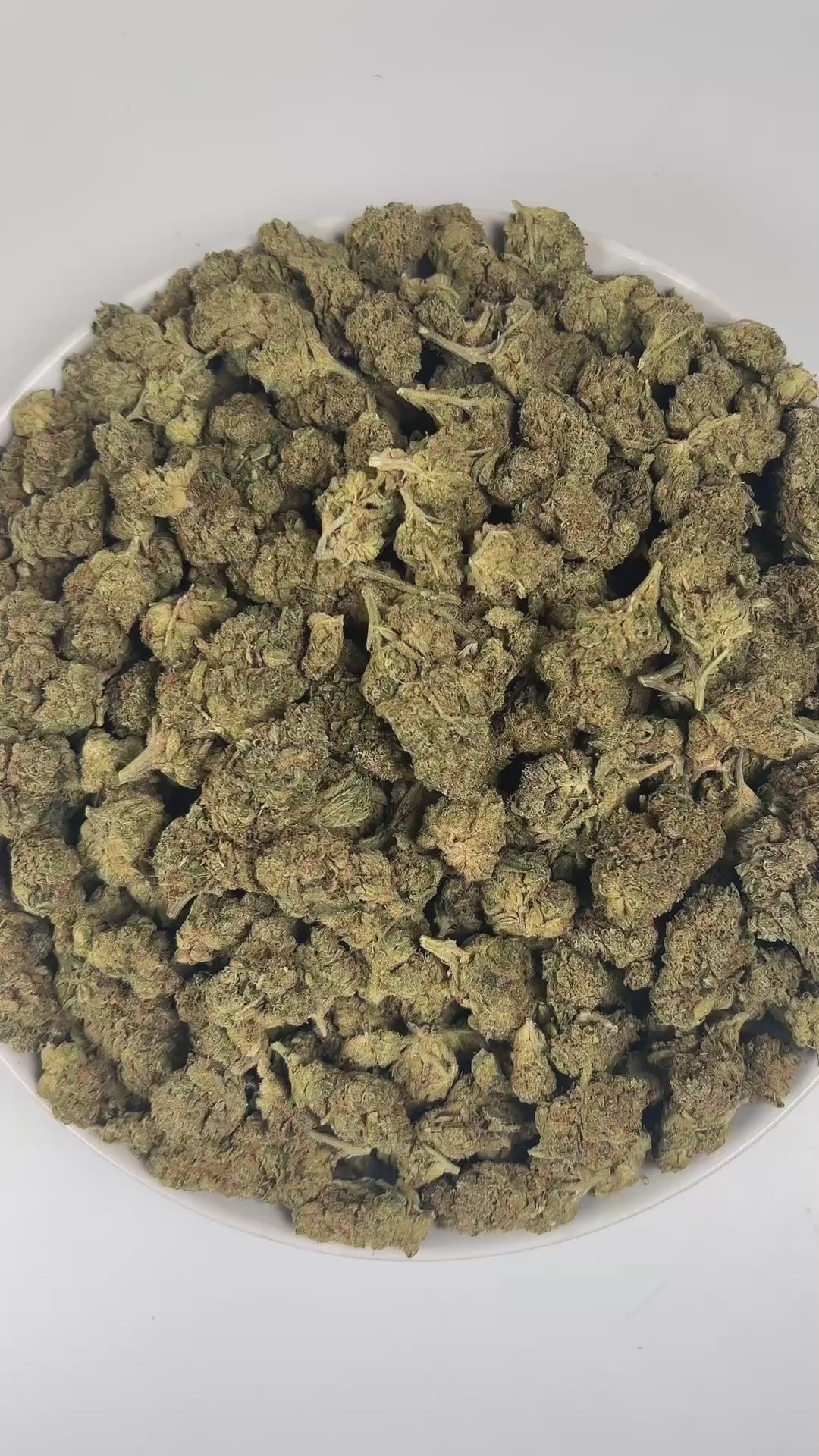 PUFFY Licorice Kush is an indica-dominant hybrid THCa strain, created by crossing the legendary AK‑47 with the renowned Hash Plant. The aroma opens with bright citrus notes, layered with rich woody undertones and a bold, pungent finish that commands attention. Visually, the buds are dense and forest-green, often adorned with vibrant orange pistils and a frosty layer of glistening trichomes. Consumers often report an initial euphoric lift, cerebral buzz, gradually followed by a relaxing, tingly body sensatio