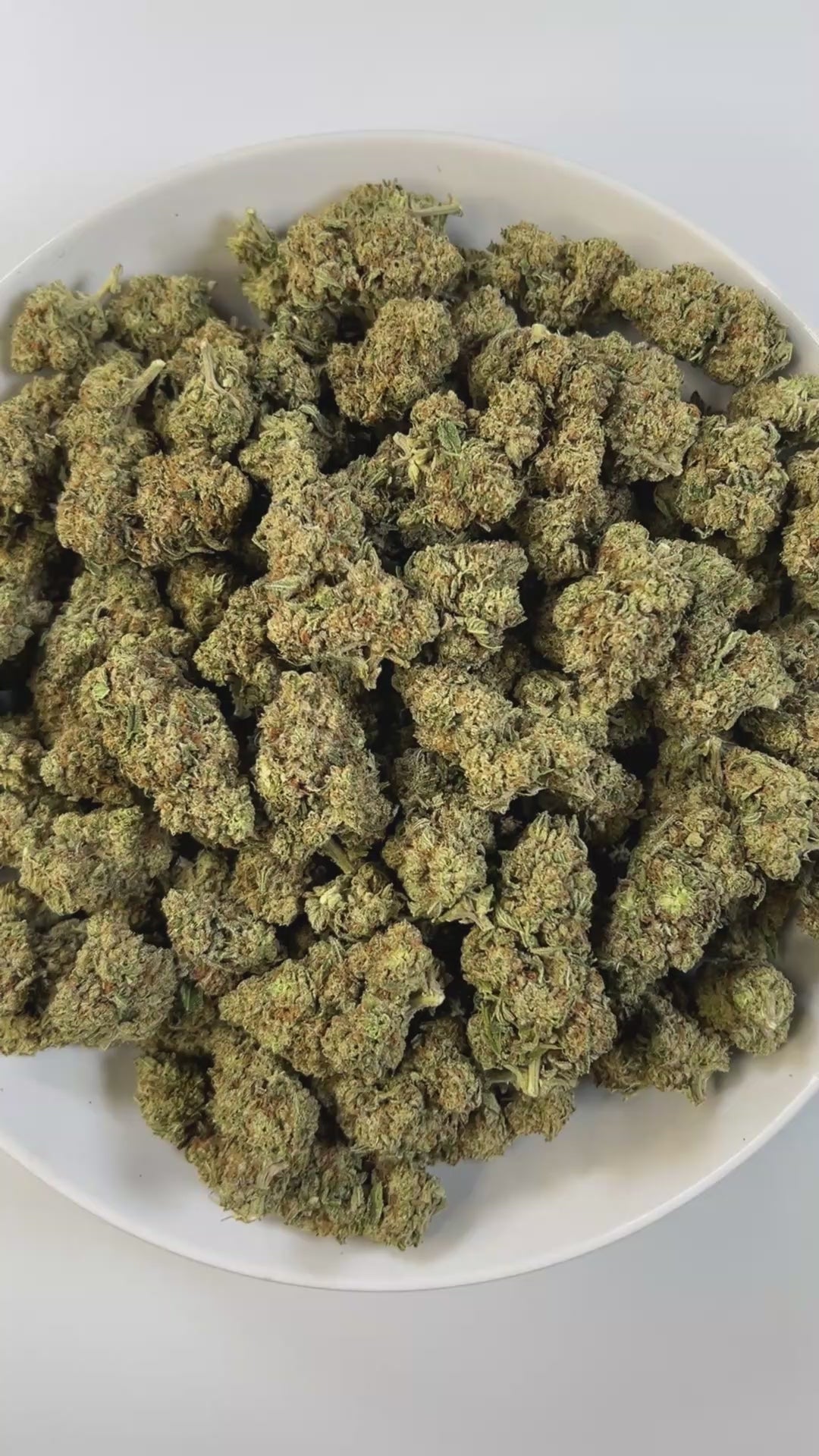 PUFFY MAC 1 (Miracle Alien Cookies) is a balanced hybrid THCa strain, born from the flavorful cross of Alien Cookies F2 with a Miracle 15. The aroma carries smooth notes of butter, uplifted by zesty citrus and rounded out with a creamy finish. Visually captivating, the buds are thick and resinous, shimmering with frosty trichomes, while vibrant orange pistils thread through shades of dark green and purple. Consumers often report it delivers cerebral uplift and body relaxation, with effects that are euphoric