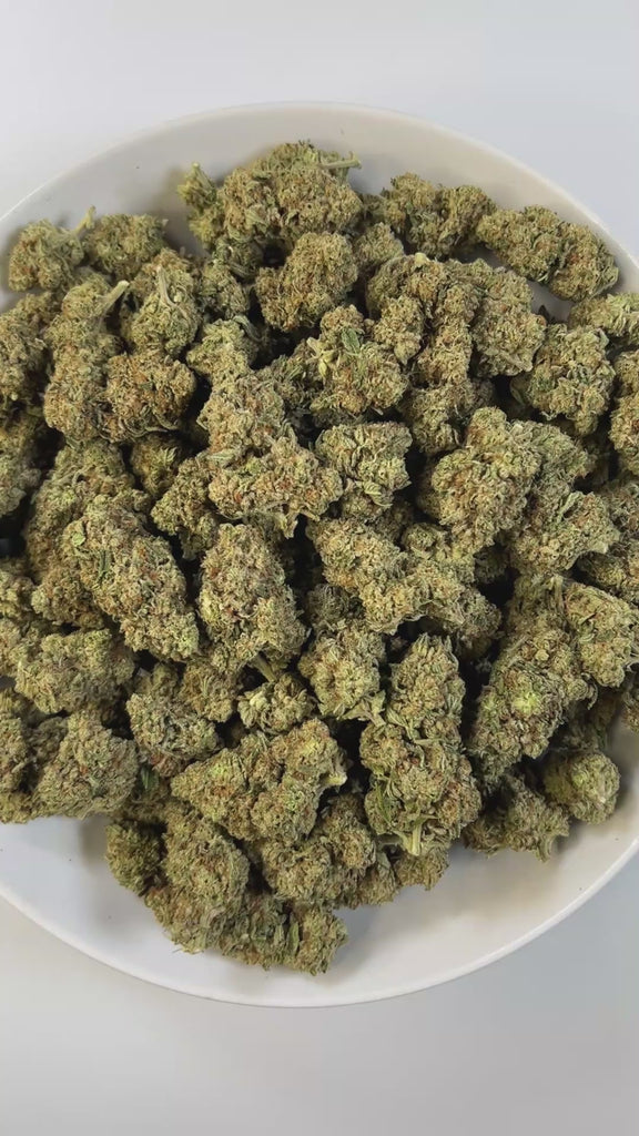 PUFFY MAC 1 (Miracle Alien Cookies) is a balanced hybrid THCa strain, born from the flavorful cross of Alien Cookies F2 with a Miracle 15. The aroma carries smooth notes of butter, uplifted by zesty citrus and rounded out with a creamy finish. Visually captivating, the buds are thick and resinous, shimmering with frosty trichomes, while vibrant orange pistils thread through shades of dark green and purple. Consumers often report it delivers cerebral uplift and body relaxation, with effects that are euphoric