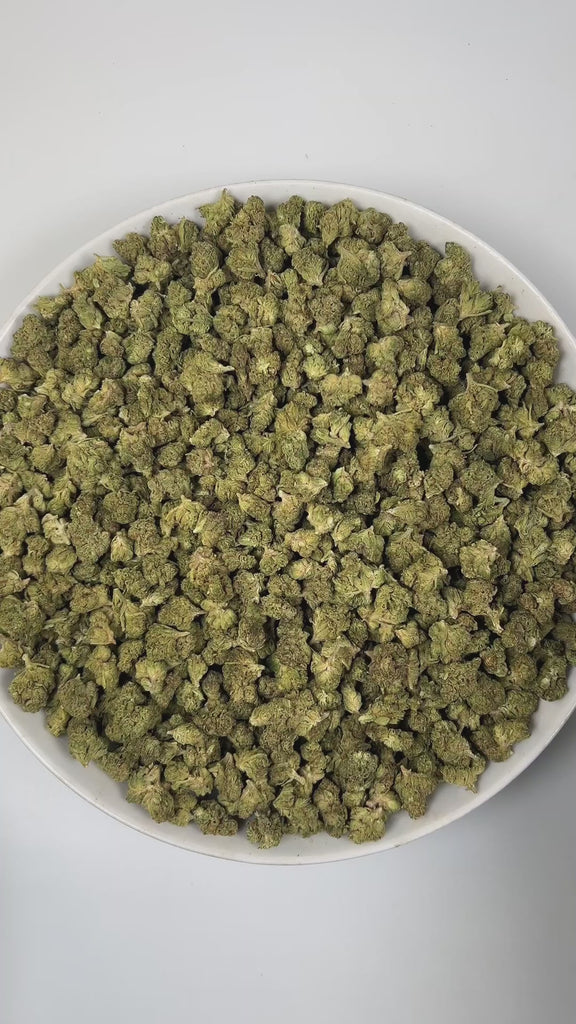 PUFFY Fatso (smalls) is a balanced hybrid THCa strain, hailing from the potent union of GMO (Garlic Cookies) and Legend OG. The aroma greets the senses with rich earthy tones, blended seamlessly with robust coffee notes and a sharp, pungent edge. Visually, the buds are dense and deep forest green, highlighted by rich purple hues and bright orange pistils, all coated in a sparkling layer of trichomes. Consumers often report a profound sense of full-body relaxation, accompanied by soothing euphoria and a gent