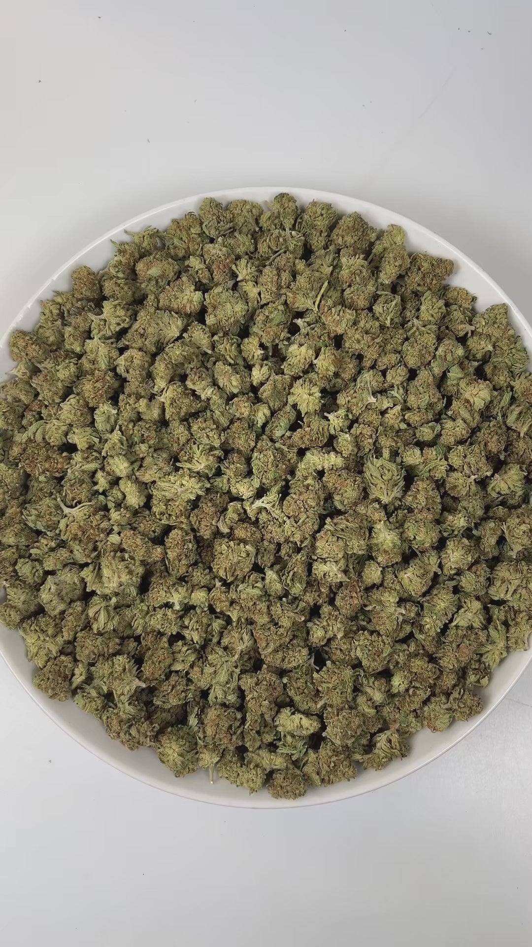 PUFFY Garlic Banana (smalls) is an Indica-dominant hybrid THCa strain born from the flavorful cross of Garlic Cookies × Black Bananas. The aroma is a bold and pungent blend of onion and garlic, rounded by subtle sweet undertones of banana, creating a unique and intriguing scent profile. Visually, the resinous buds feature forest-green and purple tones, bright orange pistils, and a frosty trichome coating. Consumers often report a burst of uplifting, euphoric creativity that gradually melts into a soothing f