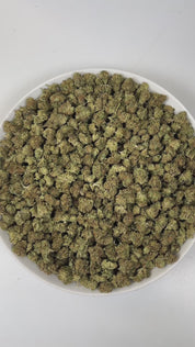 PUFFY Garlic Banana (smalls) is an Indica-dominant hybrid THCa strain born from the flavorful cross of Garlic Cookies × Black Bananas. The aroma is a bold and pungent blend of onion and garlic, rounded by subtle sweet undertones of banana, creating a unique and intriguing scent profile. Visually, the resinous buds feature forest-green and purple tones, bright orange pistils, and a frosty trichome coating. Consumers often report a burst of uplifting, euphoric creativity that gradually melts into a soothing f