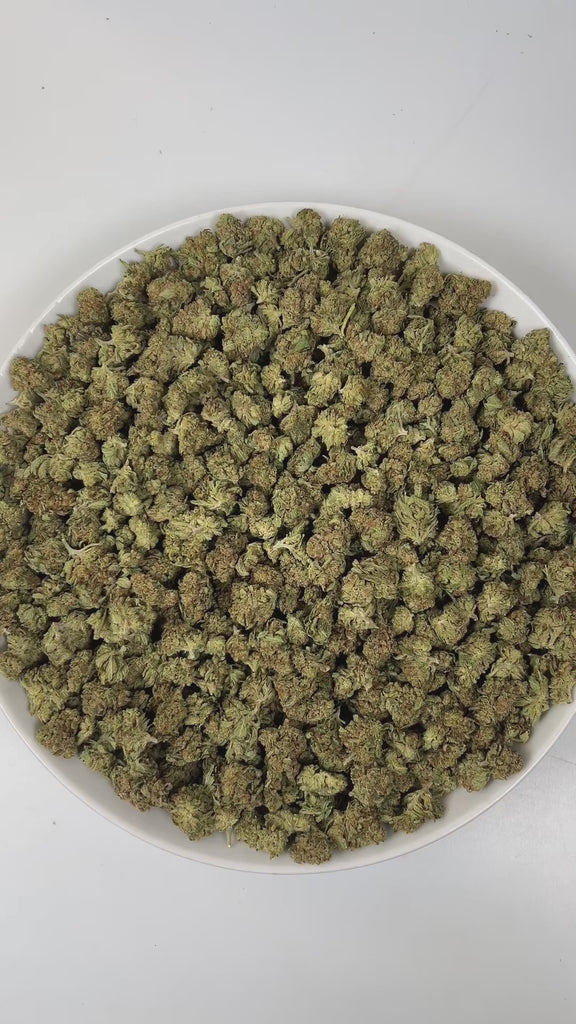 PUFFY Garlic Banana (smalls) is an Indica-dominant hybrid THCa strain born from the flavorful cross of Garlic Cookies × Black Bananas. The aroma is a bold and pungent blend of onion and garlic, rounded by subtle sweet undertones of banana, creating a unique and intriguing scent profile. Visually, the resinous buds feature forest-green and purple tones, bright orange pistils, and a frosty trichome coating. Consumers often report a burst of uplifting, euphoric creativity that gradually melts into a soothing f