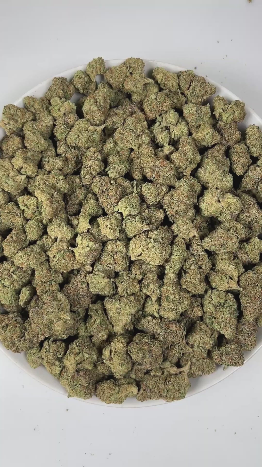 PUFFY Space Rocks is an indica-dominant hybrid THCa strain, born from the flavorful union of Space Queen and Rocky Mountain Blueberry. The aroma is a blend of fresh grass, delicate floral notes, and a grounding earthy undertone. Visually, the buds are dense and vibrant, with blue-green tones, orange pistils, and a frosty trichome coating. Consumers often report an uplifting cerebral buzz that sparks happiness, creativity, and energy, followed by a gentle, calming body effect that promotes relaxation.
