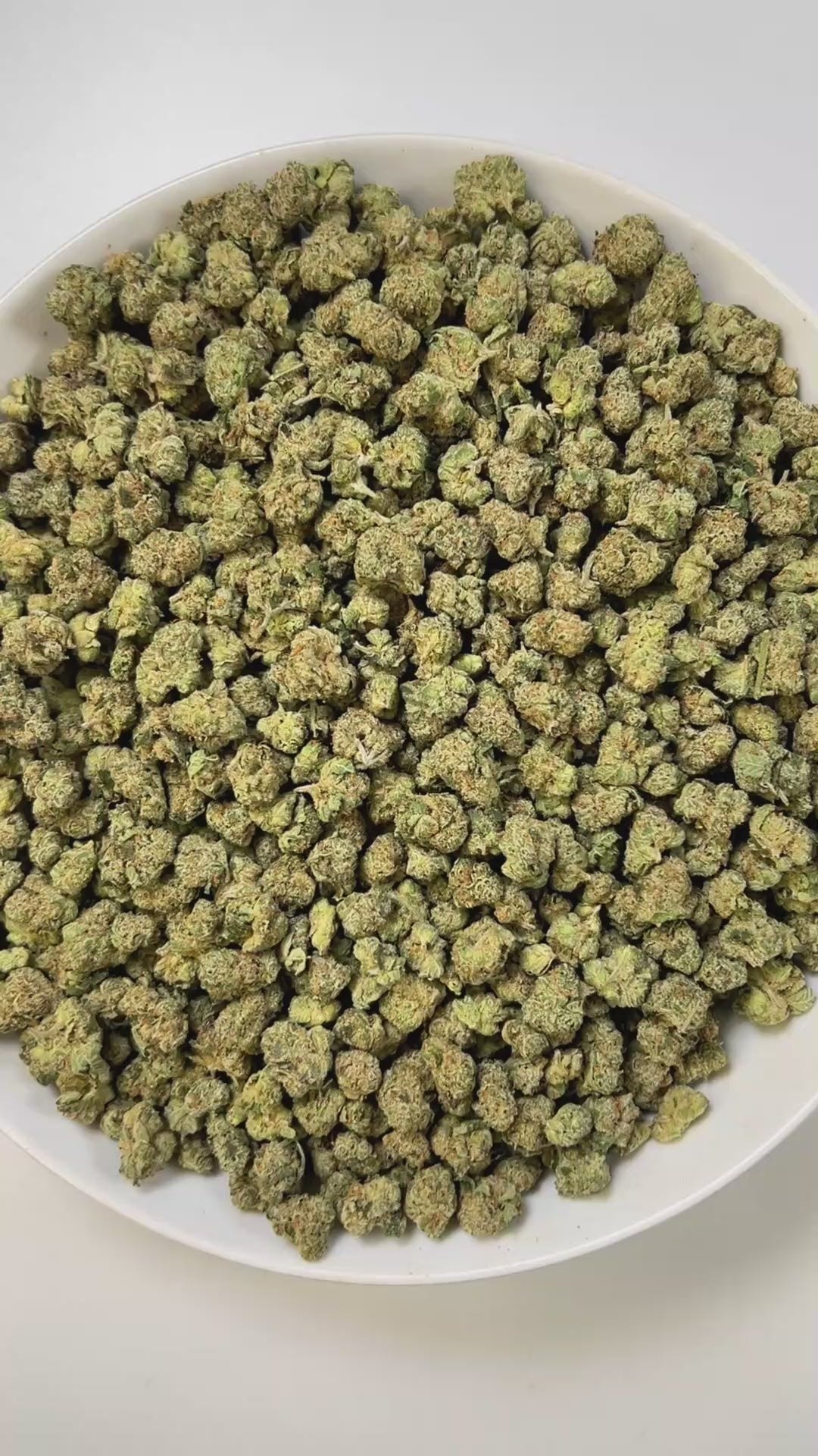 PUFFY Apple Tarts (smalls) is a balanced hybrid THCa strain, born from the flavorful cross of Apple Fritter and Runtz. Aroma of crisp red apples, tangy sour cherries, and warm, freshly baked pastries. Visually, the buds are chunky and frosted with trichomes, showing vibrant green to deep purple tones accented by fiery orange pistils. Consumers often report an initial euphoric, uplifting boost that enhances mood and creativity before easing into body relaxation and calm.

