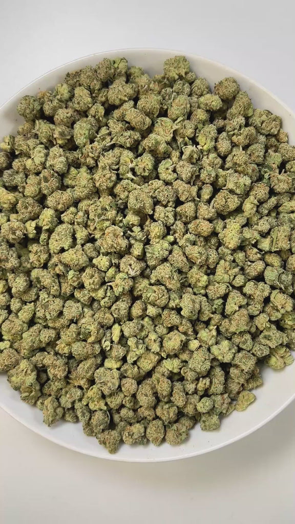 PUFFY Apple Tarts (smalls) is a balanced hybrid THCa strain, born from the flavorful cross of Apple Fritter and Runtz. Aroma of crisp red apples, tangy sour cherries, and warm, freshly baked pastries. Visually, the buds are chunky and frosted with trichomes, showing vibrant green to deep purple tones accented by fiery orange pistils. Consumers often report an initial euphoric, uplifting boost that enhances mood and creativity before easing into body relaxation and calm.
