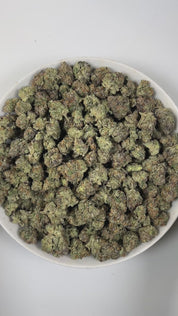 PUFFY Garlic Bud is a balanced hybrid THCa strain, an Afghani Indica landrace is celebrated for its pure traditional Afghan lineage showcasing the robust, earthy traits that define its legendary genetics. The aroma features sharp, savory notes of onion, grounded by earthy undertones and a bold, pungent character. Visually, dense green buds with purple hues and fiery orange pistils are coated in sticky trichomes. Consumers often report an initial cerebral uplift with euphoria, elevated mood, and heightened c