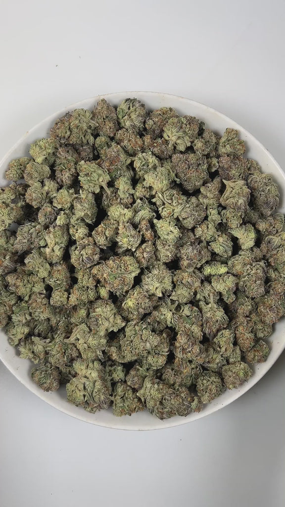 PUFFY Garlic Bud is a balanced hybrid THCa strain, an Afghani Indica landrace is celebrated for its pure traditional Afghan lineage showcasing the robust, earthy traits that define its legendary genetics. The aroma features sharp, savory notes of onion, grounded by earthy undertones and a bold, pungent character. Visually, dense green buds with purple hues and fiery orange pistils are coated in sticky trichomes. Consumers often report an initial cerebral uplift with euphoria, elevated mood, and heightened c