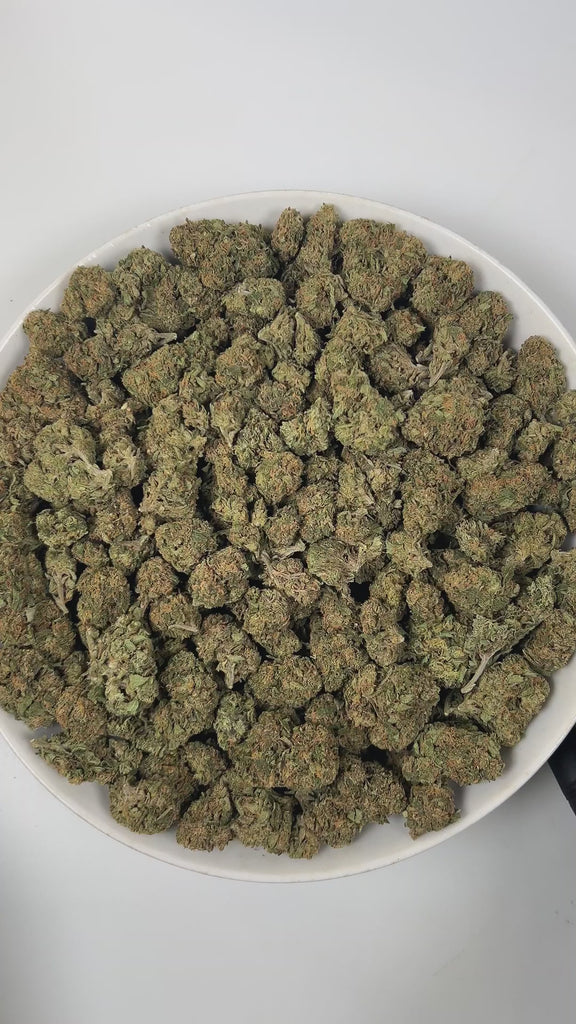 PUFFY Baby Jokerz is an indica-dominant hybrid THCa strain, created from the legendary pairing of White Runtz and Jet Fuel Gelato. The aroma is a delightful blend of sweet grape, delicate floral notes, and subtle herbal undertones, creating a fragrant and inviting scent. Visually, the buds are dense and rich in color, showcasing deep green and purple hues, vibrant orange pistils, and a generous coating of glistening trichomes. Consumers often report an initial euphoria, heightened focus, and an uplifted moo