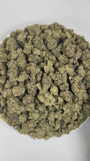 PUFFY Pink Starburst is a balanced hybrid THCa strain, created from a complex cross of DJ Short’s legendary Blueberry, Headband, and Sour Diesel BX3. The aroma opens with sweet candy notes, layered with delicate floral hints and a sharp, tangy sourness. Visually, the buds are dense and vibrant lime-green with touches of purple-pink, adorned with bright orange pistils and a sparkling coating of crystal trichomes. Consumers often report a euphoric, uplifting, and creative high that boosts happiness and motiva