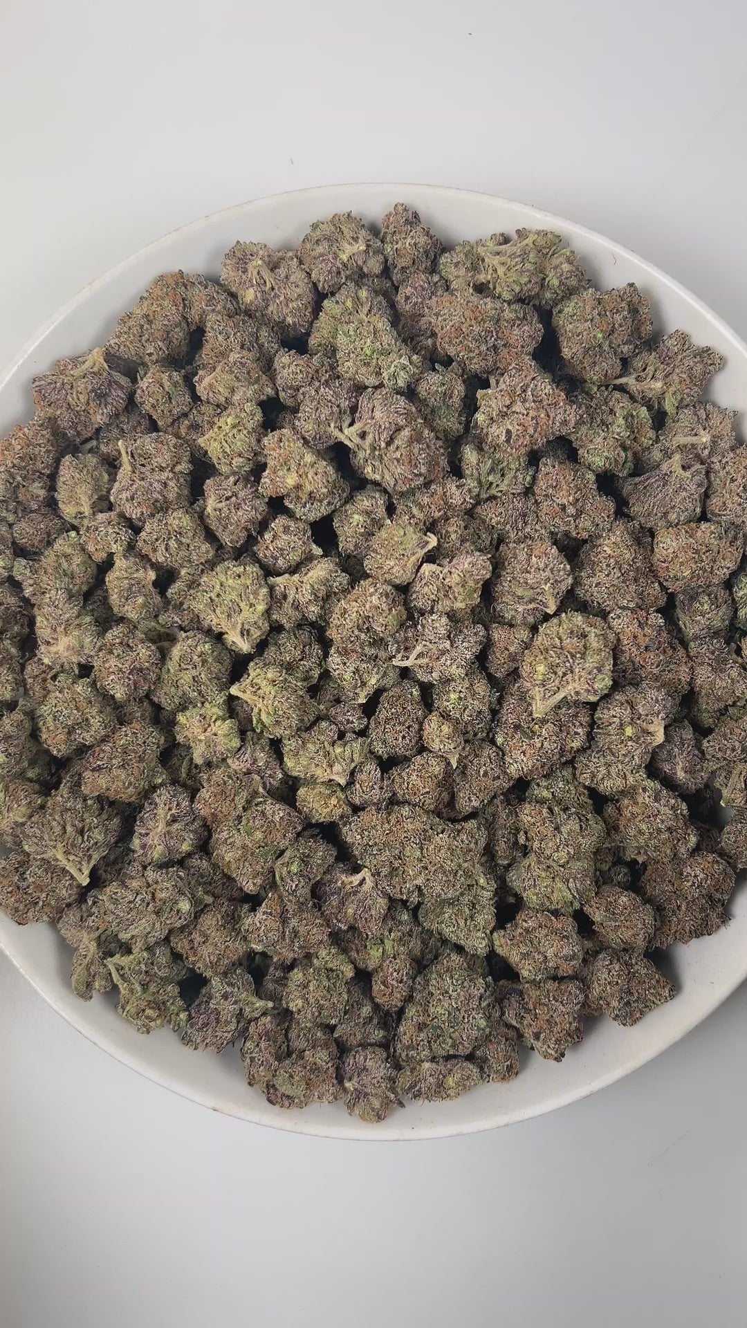 PUFFY Zereal is a well-balanced hybrid THCa strain born from the flavorful cross of Cereal Milk and ZKZ. The aroma bursts with bright citrus notes, sweet vanilla, and a bold, gassy punch. Visually, the buds are dense and vibrant, displaying rich green and deep purple hues, accented by bright orange pistils and a sparkling coat of trichomes. Consumers often report fast-acting effects that start with an immediate cerebral uplift, followed by waves of euphoria, happiness, and an energizing boost that sparks cr