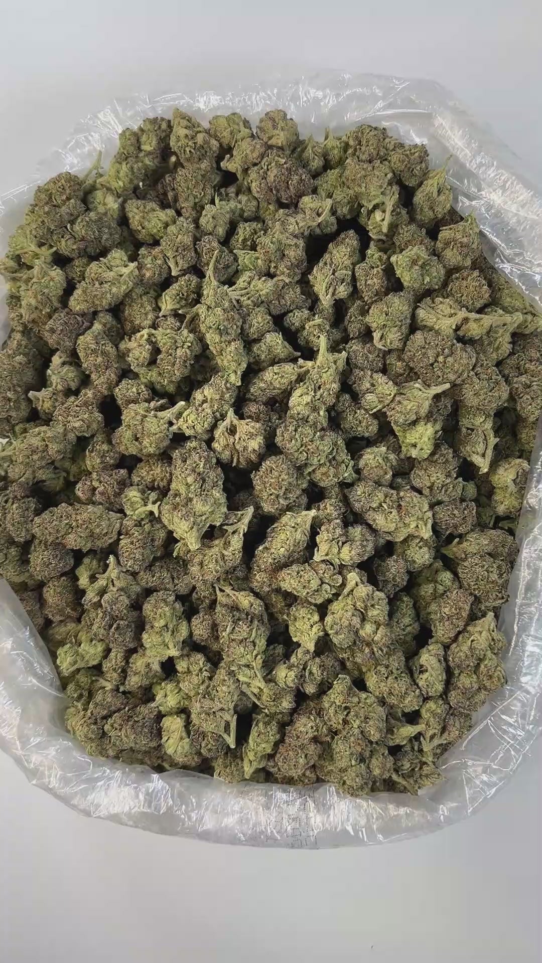 PUFFY Pink Runtz is a well-balanced hybrid THCa strain, born from the flavorful cross between ZKZ and Gelato. It boasts a sweet, fruity flavor profile reminiscent of sugary candies, layered with tropical fruit, berry notes, and a smooth, creamy undertone. The aroma is a captivating mix of sweet cream and sugary candy, layered with a sharp, gassy undertone that adds intensity and complexity to the scent. Visually, the buds are dense and resin-coated, showcasing a striking mix of dark green and purple hues, o
