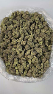 PUFFY Pink Runtz is a well-balanced hybrid THCa strain, born from the flavorful cross between ZKZ and Gelato. It boasts a sweet, fruity flavor profile reminiscent of sugary candies, layered with tropical fruit, berry notes, and a smooth, creamy undertone. The aroma is a captivating mix of sweet cream and sugary candy, layered with a sharp, gassy undertone that adds intensity and complexity to the scent. Visually, the buds are dense and resin-coated, showcasing a striking mix of dark green and purple hues, o