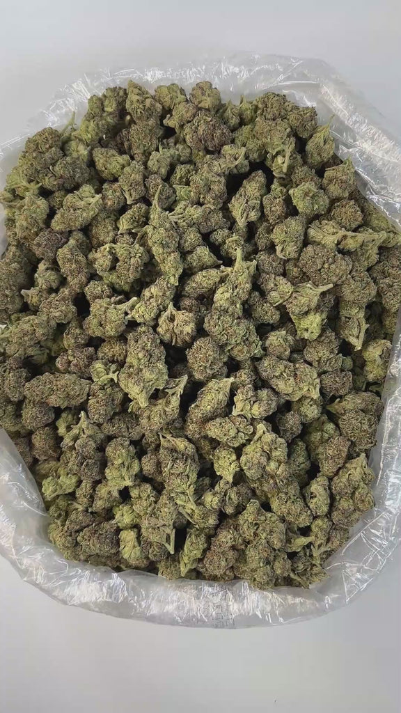PUFFY Pink Runtz is a well-balanced hybrid THCa strain, born from the flavorful cross between ZKZ and Gelato. It boasts a sweet, fruity flavor profile reminiscent of sugary candies, layered with tropical fruit, berry notes, and a smooth, creamy undertone. The aroma is a captivating mix of sweet cream and sugary candy, layered with a sharp, gassy undertone that adds intensity and complexity to the scent. Visually, the buds are dense and resin-coated, showcasing a striking mix of dark green and purple hues, o