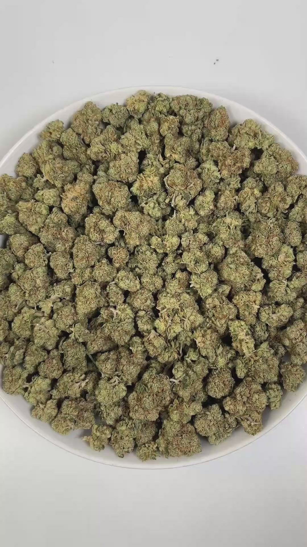 PUFFY Holy Grail OG is an indica-dominant hybrid THCa strain, born from the renowned fusion of Kosher Kush and OG Kush #18. The aroma opens with bright, zesty citrus notes, layered with a bold, pungent edge and a warm, lingering spiciness. Visually, dense green buds with hints of purple are threaded with fiery orange pistils and coated in a sparkling layer of sticky trichomes. Consumers often report a calming body relaxation paired with euphoric uplift, happy and mellow moods, and occasional bursts of creat