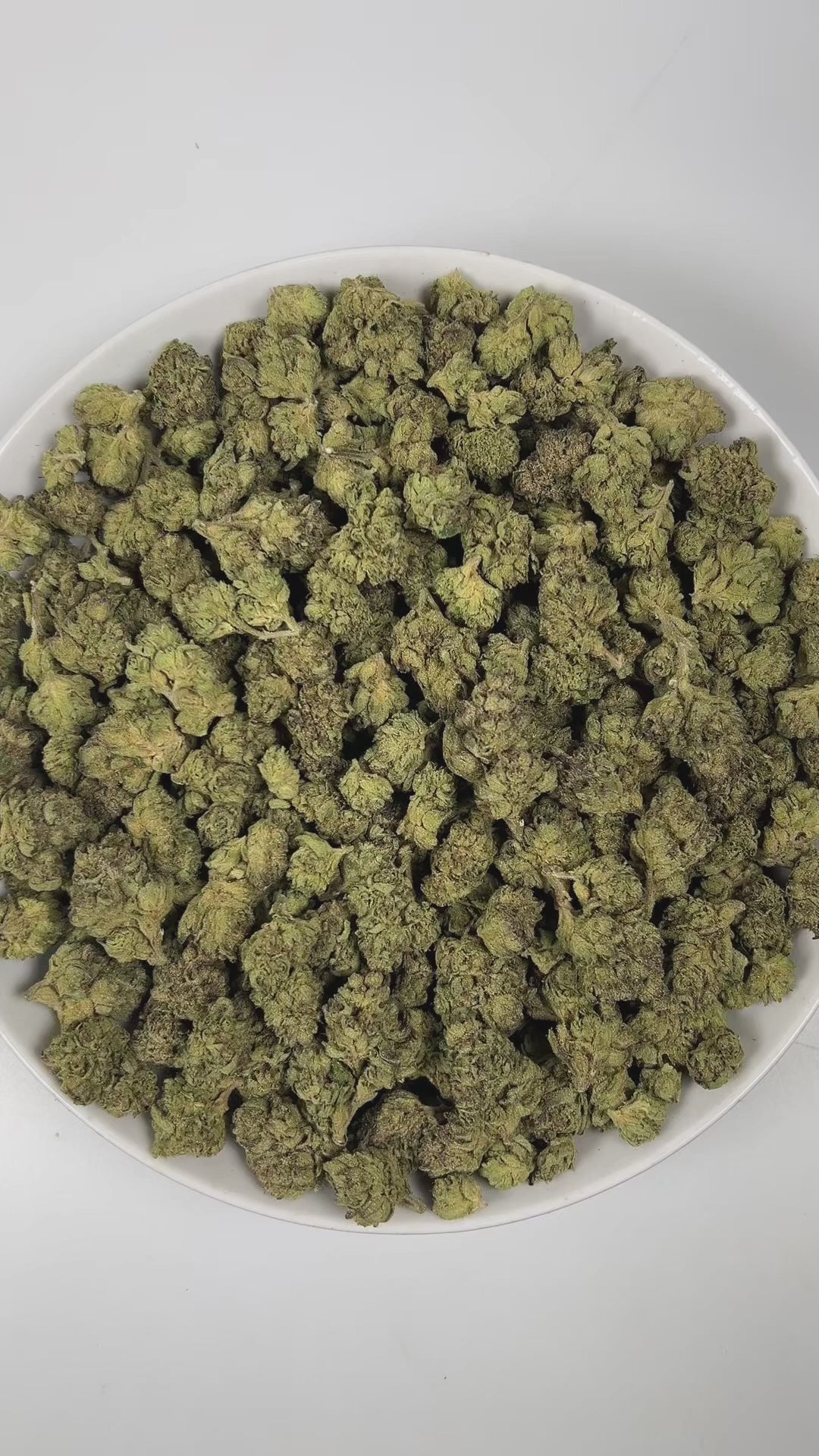 PUFFY Green Runtz is a indica-dominant hybrid THCa strain, originating from the fusion of Green Crack and Runtz. The aroma is a vibrant blend of crisp green apples, pungent diesel, and rich, creamy butter, creating a uniquely sharp yet smooth scent profile. Visually, dense spring green buds with hints of purple are threaded with fiery orange pistils and coated in a sparkling layer of sticky trichomes. Consumers often report a euphoric and uplifting mood boost, accompanied by a stimulating wave of creativity