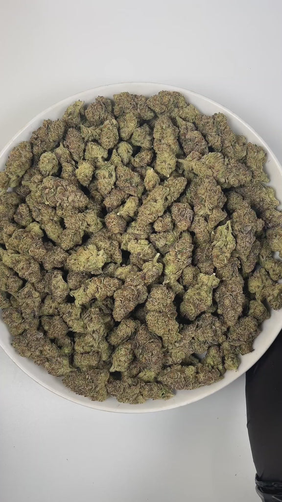 PUFFY Super Runtz is a hybrid THCa strain, expertly crafted from a potent cross between Super Lemon Cherry Gelato and Runtz. The aroma delights the senses with a luscious blend of tropical fruit, creamy undertones, and a grounding earthy richness. Visually, the buds feature chunky or elongated forms in deep green and purple, lit with orange pistils and coated in sugar-like frosty trichomes. Consumers often report an uplifting wave of euphoria that brightens the mood, gradually melting into deep relaxation w