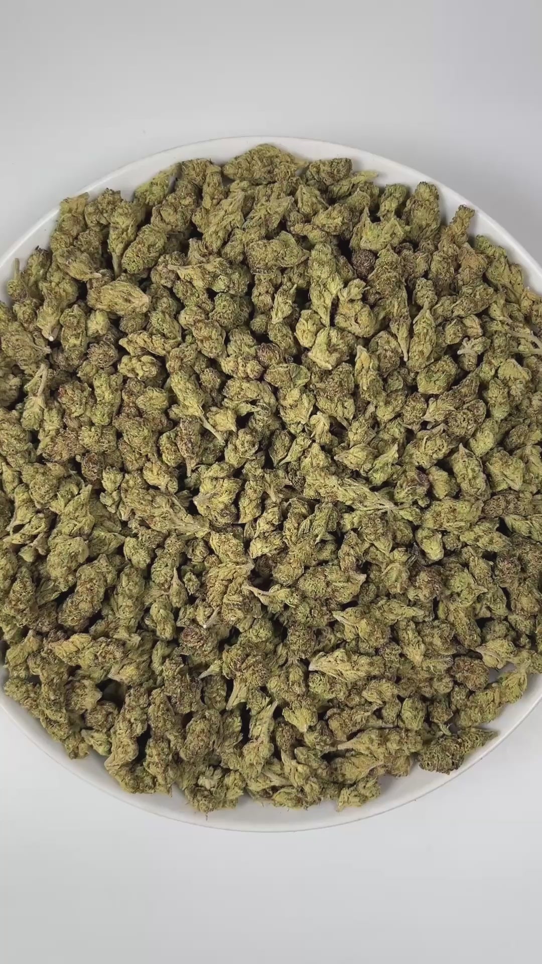 PUFFY Chemlato (smalls) is a balanced hybrid THCa strain, born from the cross of Gelato #33 and Chemdawg. The aroma opens with bright citrus notes, layered with a sharp fuel-like edge and a deeply pungent finish. Visually, the buds are dense, featuring light green and purple hues, vibrant orange pistils, and a sparkling layer of trichomes. Consumers often report an initial uplifting and euphoric mental high that sparks creativity, gradually transitioning into a calm and mellow body sensation.
