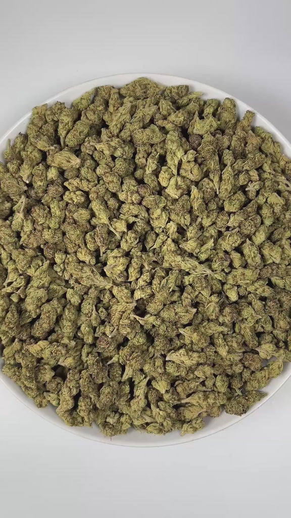 PUFFY Chemlato (smalls) is a balanced hybrid THCa strain, born from the cross of Gelato #33 and Chemdawg. The aroma opens with bright citrus notes, layered with a sharp fuel-like edge and a deeply pungent finish. Visually, the buds are dense, featuring light green and purple hues, vibrant orange pistils, and a sparkling layer of trichomes. Consumers often report an initial uplifting and euphoric mental high that sparks creativity, gradually transitioning into a calm and mellow body sensation.
