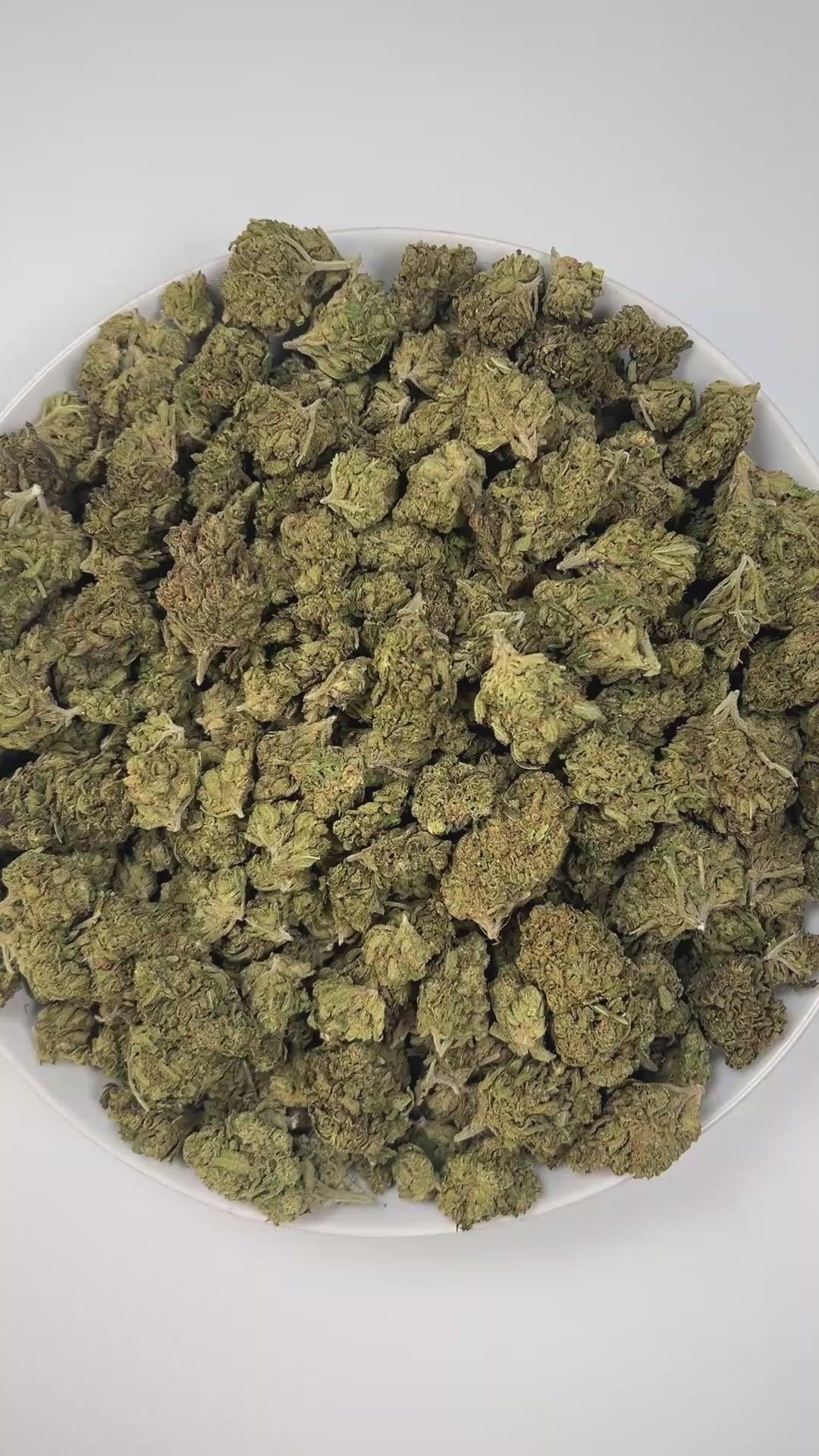 PUFFY Blue Dream is a sativa-dominant hybrid THCa strain born from the legendary cross between Blueberry and Haze. The aroma combines sweet berry and zesty citrus notes with a bold hint of diesel, creating a vibrant and memorable scent. Visually stunning, its dense, bright green buds are accented by deep blue hues, fiery orange pistils, and a generous dusting of icy trichomes making it as eye-catching as it is effective. Consumers often report a euphoric, uplifting head high that flows into a gentle, motiva