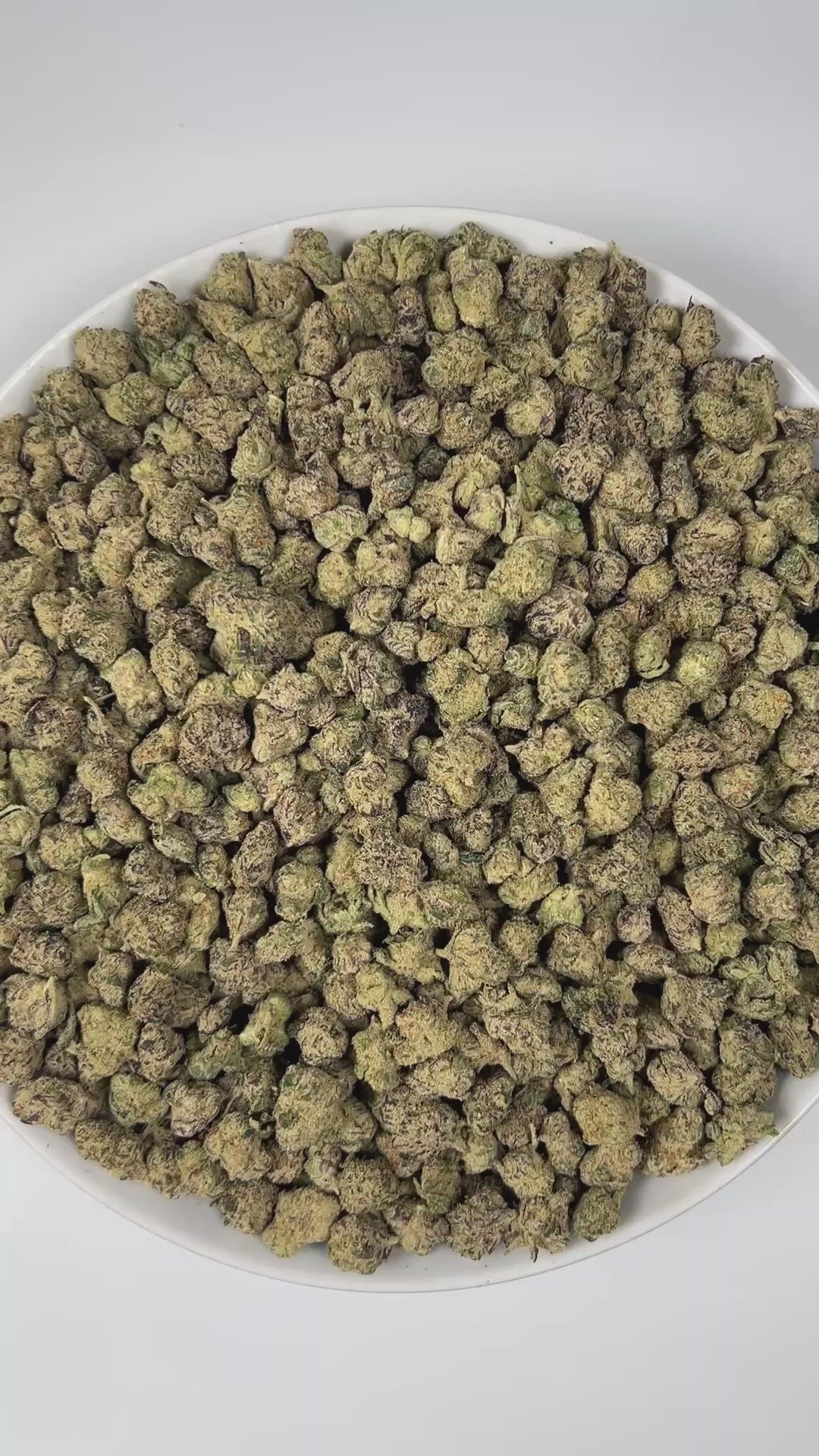 PUFFY Biscotti X Jealousy (smalls) is a balanced hybrid THCa strain, it’s a direct cross between Biscotti and Jealousy. The aroma is a captivating blend of freshly baked cookies, sweet berries, and a warm, nutty undertone that creates an irresistibly rich and comforting scent. Visually, the buds are dense and dark green with striking purple accents, adorned with vibrant orange pistils and coated in a sparkling layer of frosty trichomes. Consumers often report a balanced high, with an uplifting cerebral buzz