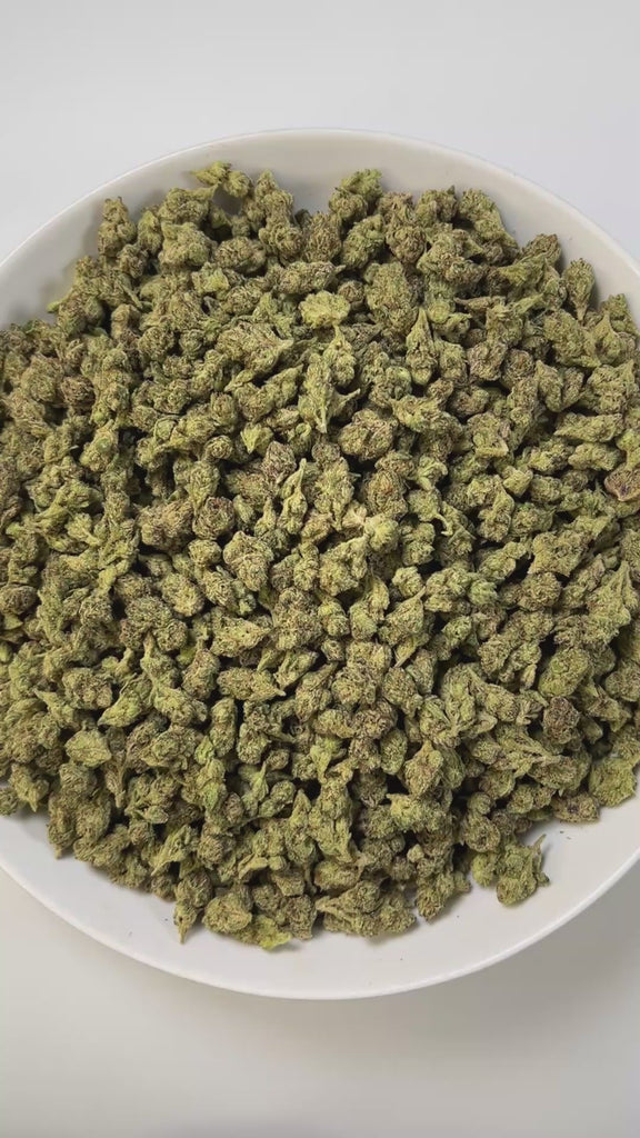 PUFFY Frosted Runtz (smalls) is a balanced hybrid THCa strain,  born from the flavorful cross of Ice Cream Cake × White Runtz. The aroma combines the pungent sharpness of gasoline with refreshing eucalyptus and underlying chemical notes, creating a bold, intense, and distinctive scent. Visually, the buds are compact, showcasing rich emerald greens interlaced with subtle purple and pink hints, while fiery orange pistils weave through a sparkling coat of frosty, crystalline trichomes. Consumers often report a