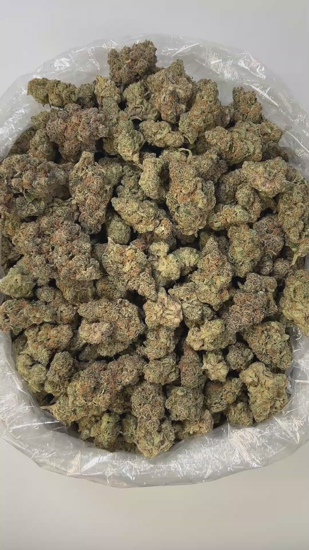 PUFFY Orange Vanilla Milano is a sativa-dominant hybrid THCa strain created by crossing the zesty Tangie with creamy Cookies &amp; Cream #3. The aroma bursts with vibrant, juicy blood oranges layered over smooth, rich vanilla, all wrapped in a distinct, pungent gassy undertone that adds an intriguing, edgy complexity. Visually, the dense, medium-sized buds display vibrant forest green and bright orange pistils, coated in frosty white trichomes for a sticky, crystalline sheen. Consumers often experience enha