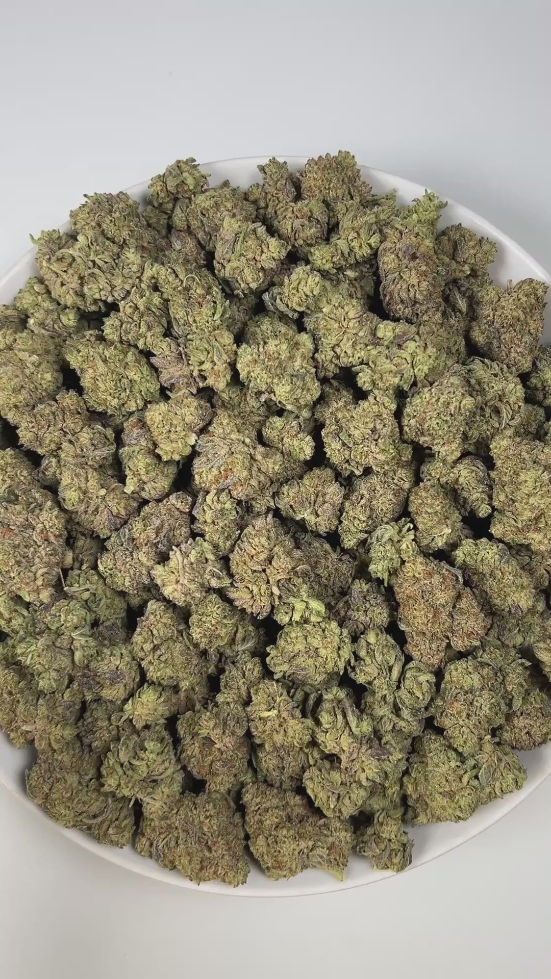 PUFFY Blue Lobster is a balanced hybrid THCa strain, born from the flavorful cross between Apples & Bananas and Eye Candy. The aroma combines rich earthy tones with sweet blueberry accents and a deep, gassy finish. Visually, the buds are dense and vibrant, displaying a mix of green with striking blue and purple hues, accented by bright orange pistils and a generous coating of glistening trichomes. Consumers often describe an uplifting, euphoric cerebral rush that enhances mood, focus, and creativity, gradua