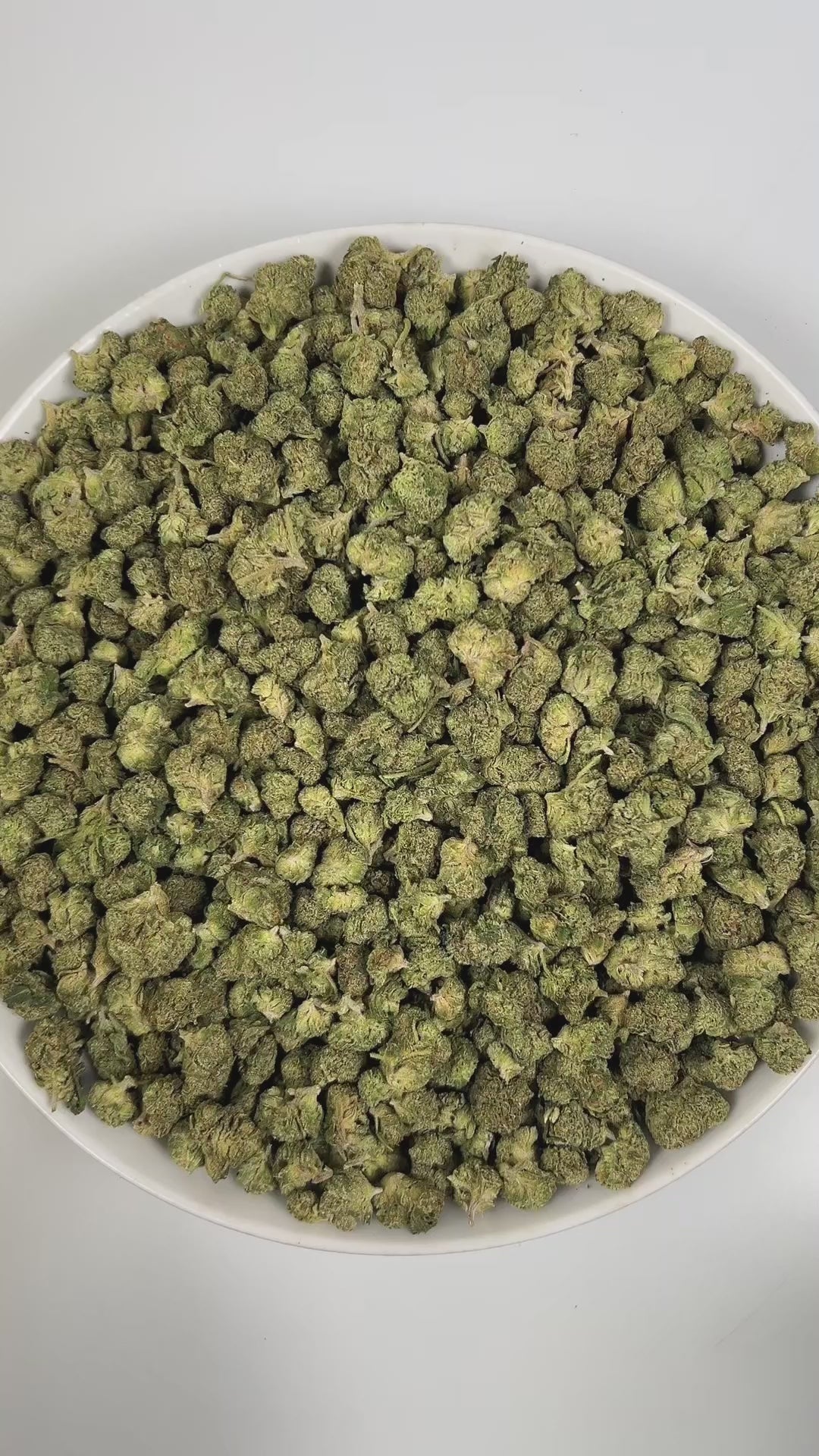 PUFFY Jokerz Candy (smalls) is an indica-dominant hybrid THCa strain, born from the flavorful cross between Gummiez and Grape Gasoline. The aroma bursts with bold grape notes layered over a gassy kick and a fresh, piney finish. Visually, the dense buds display forest-green tones with deep purple hues, vibrant orange pistils, and a frosty trichome coating. Consumers often describe the effects as euphoric and uplifting, promoting happiness and mental clarity, followed by a wave of deep relaxation.