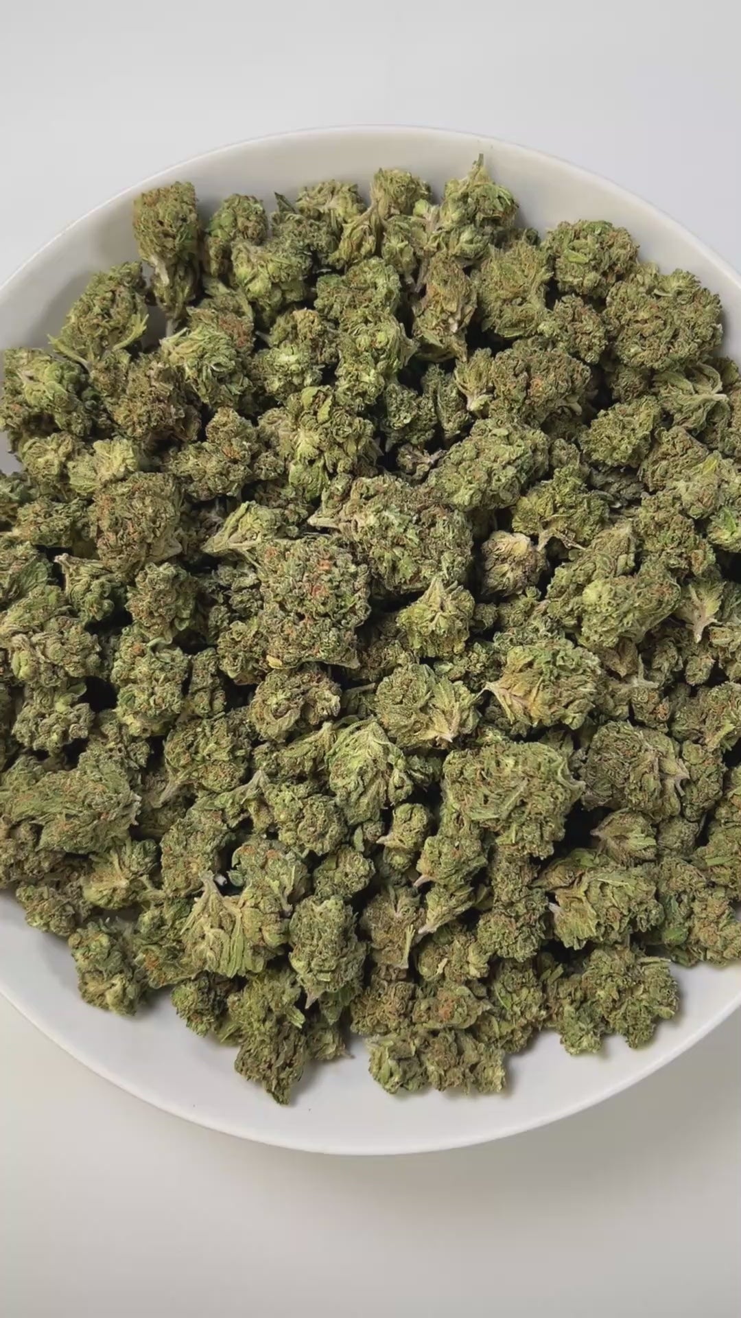 PUFFY Sour Bubbles is a powerhouse pure indica THCa strain from B.O.G. Seeds, born from a hand-picked phenotype of their iconic BOG Bubble. The aroma is a rich blend of earthy and floral notes, layered with a sweet hint of melon. Visually dense, crystal-coated buds in vibrant green, accented with flashes of orange and purple. Consumers describe the experience as deeply relaxing, often melting into a blissful calm that brings gentle tingles, uplifting euphoria, and an easy drift toward restful sleep.
