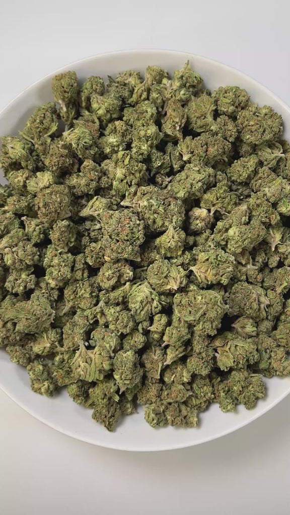 PUFFY Sour Bubbles is a powerhouse pure indica THCa strain from B.O.G. Seeds, born from a hand-picked phenotype of their iconic BOG Bubble. The aroma is a rich blend of earthy and floral notes, layered with a sweet hint of melon. Visually dense, crystal-coated buds in vibrant green, accented with flashes of orange and purple. Consumers describe the experience as deeply relaxing, often melting into a blissful calm that brings gentle tingles, uplifting euphoria, and an easy drift toward restful sleep.
