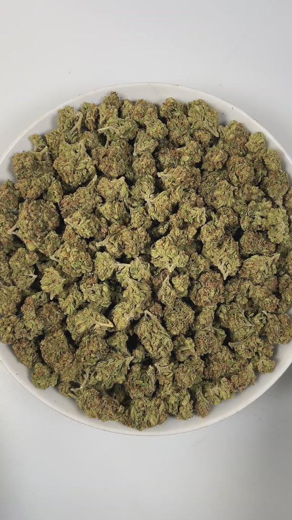 PUFFY Orange Bang is a hybrid THCa strain, expertly crafted from a potent cross between 2010 White, Orange Cookies, and Blowpops genetics. The aroma is a vibrant blend of bright orange, zesty citrus notes, and fresh pine, creating an invigorating and uplifting scent experience. Visually, dense bright green buds with purple hues and fiery orange pistils are coated in sticky trichomes. Consumers often report feeling happy, uplifted, and energetic, with a boost of creativity that pairs beautifully with an over