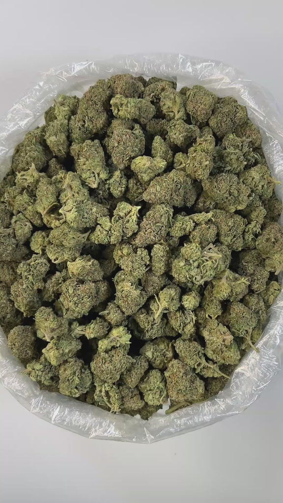 PUFFY Runtz Cake is a balanced hybrid THCa strain crafted from the flavorful union of White Runtz and Wedding Cake. This strain offers a creamy, smoky aroma that entices the senses with its smooth and rich profile. Visually, the buds are dense and popcorn-shaped, showcasing vibrant forest-green hues accented by fiery amber pistils and coated in a thick layer of sticky, resinous trichomes. Consumers often report a calming and deeply relaxing effect, frequently accompanied by waves of euphoria, bursts of gigg
