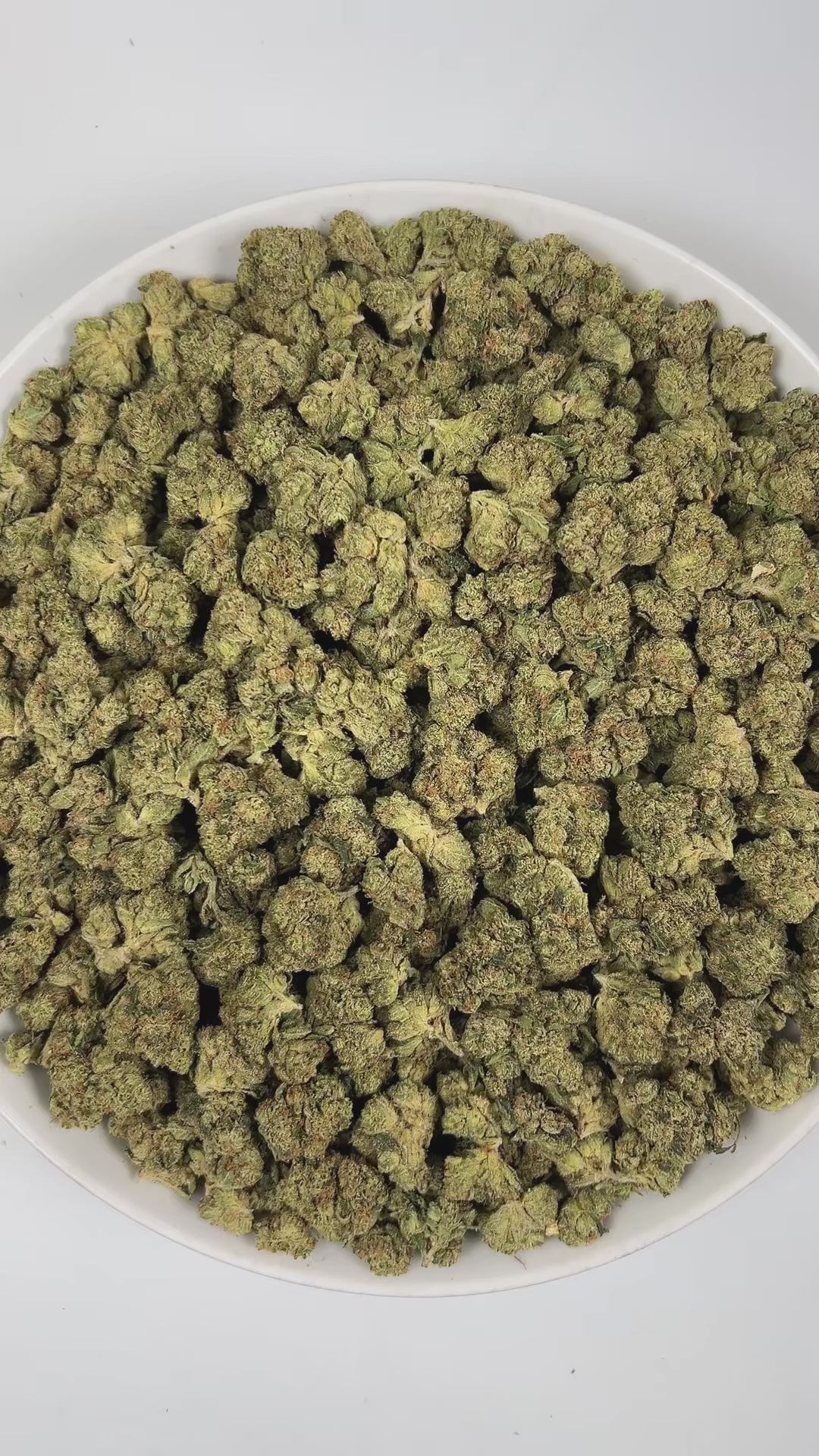 PUFFY Tahoe OG is an indica-dominant hybrid THCa strain, created from the potent pairing of SFV OG Kush and OG Kush. The aroma is a bold blend of Diesel, sharp Chemicals, and fresh Pine, creating a pungent yet invigorating scent. Visually, dense green buds with hints of purple, bright orange pistils, and a thick coating of sparkling trichomes. Consumers often report euphoric, relaxed, and appetite‑boosting effects, accompanied by a calming body sensation that helps ease tension and promote overall relaxatio