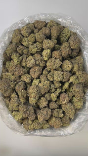 PUFFY Platinum Cookies is a well-balanced hybrid THCa strain, crafted from a flavorful lineage of OG Kush, Durban Poison, and an unknown Platinum cultivar. This strain boasts a rich, grounding aroma with deep earthy tones and warm woody undertones, evoking the scent of fresh soil and aged cedar. Visually striking, its dense buds range from olive green to deep purple, generously coated in frosty white trichomes and highlighted by vibrant orange to amber pistils. Consumers often report feelings of euphoria, r