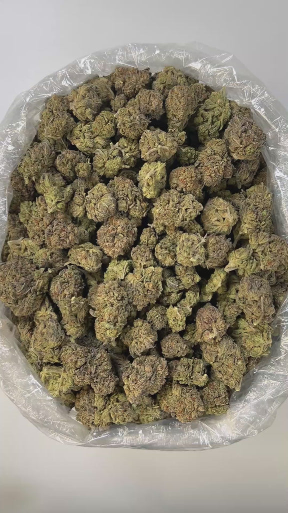 PUFFY Platinum Cookies is a well-balanced hybrid THCa strain, crafted from a flavorful lineage of OG Kush, Durban Poison, and an unknown Platinum cultivar. This strain boasts a rich, grounding aroma with deep earthy tones and warm woody undertones, evoking the scent of fresh soil and aged cedar. Visually striking, its dense buds range from olive green to deep purple, generously coated in frosty white trichomes and highlighted by vibrant orange to amber pistils. Consumers often report feelings of euphoria, r
