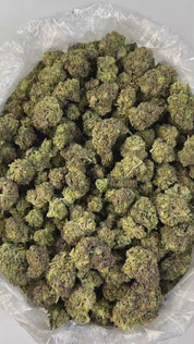 PUFFY Pixie Stix is a balanced hybrid THCa strain born from the cross of Grape Pie and Sherbert BX1. It boasts a smooth, inviting aroma that blends creamy sweetness with delicate floral notes and fresh herbal undertones. Visually, the buds are dense and resin-coated, often showcasing rich purple hues accented by vibrant amber pistils and a thick layer of frosty trichomes. Consumers commonly report effects that are uplifting, euphoric, and energizing, promoting a happy, focused state of mind making it an ide
