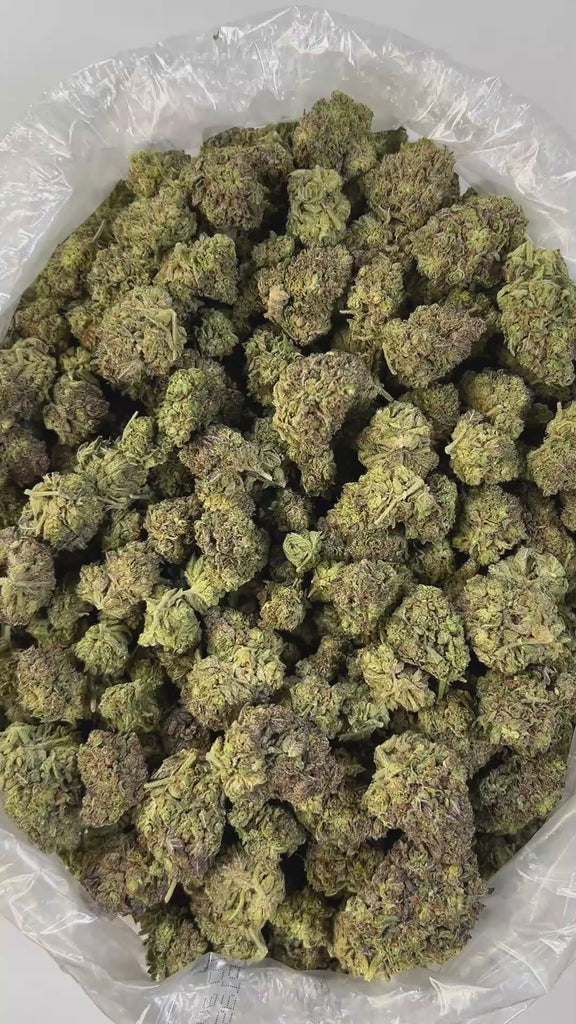 PUFFY Pixie Stix is a balanced hybrid THCa strain born from the cross of Grape Pie and Sherbert BX1. It boasts a smooth, inviting aroma that blends creamy sweetness with delicate floral notes and fresh herbal undertones. Visually, the buds are dense and resin-coated, often showcasing rich purple hues accented by vibrant amber pistils and a thick layer of frosty trichomes. Consumers commonly report effects that are uplifting, euphoric, and energizing, promoting a happy, focused state of mind making it an ide