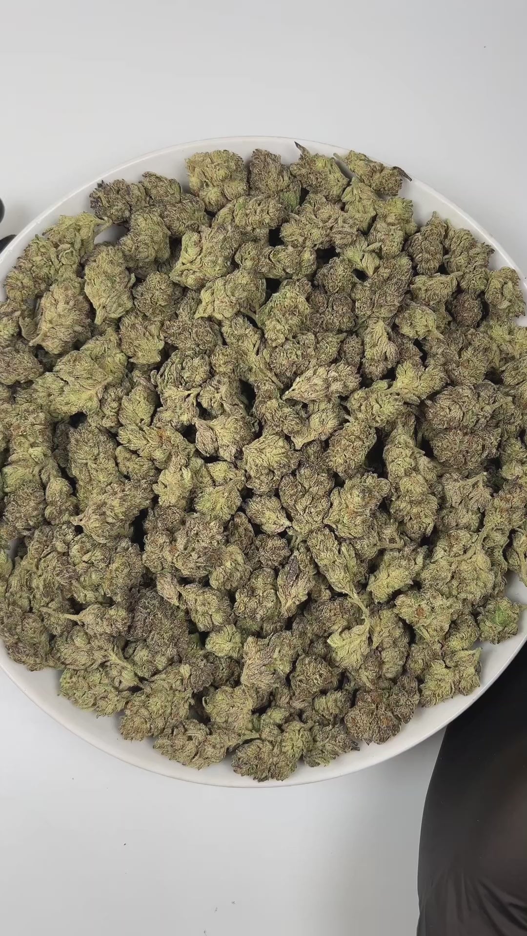 PUFFY Purple Urkle is an indica-dominant hybrid THCa strain, born from the cross of Mendo Purps and Granddaddy Purple. The aroma opens with sweet berry notes, balanced by a fresh grassy undertone and a smooth, creamy hint of vanilla. Visually appealing, the buds are dense with forest-green and purple hues, bright orange pistils, and a sparkling layer of trichomes. Consumers often report deep body relaxation that promotes restful sleep, often accompanied by uplifting euphoria and a heightened appetite.