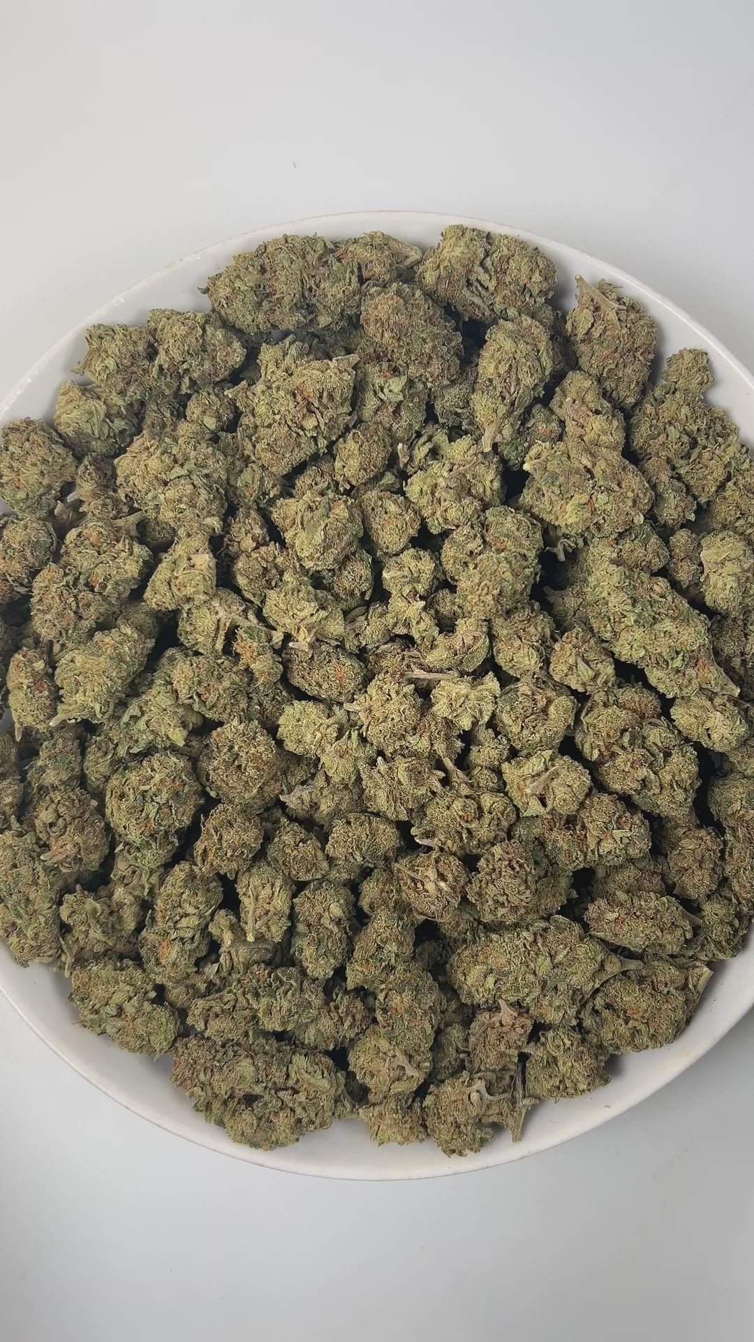 PUFFY Jokerz Candy is an indica-dominant hybrid THCa strain, born from the flavorful cross between Gummiez and Grape Gasoline. The aroma delights the senses with a sweet candy-like fragrance, layered with earthy undertones and subtle floral notes. Visually, the dense buds display forest-green tones with deep purple hues, vibrant orange pistils, and a frosty trichome coating. Consumers often describe the effects as euphoric and uplifting, promoting happiness and mental clarity, followed by a wave of deep rel