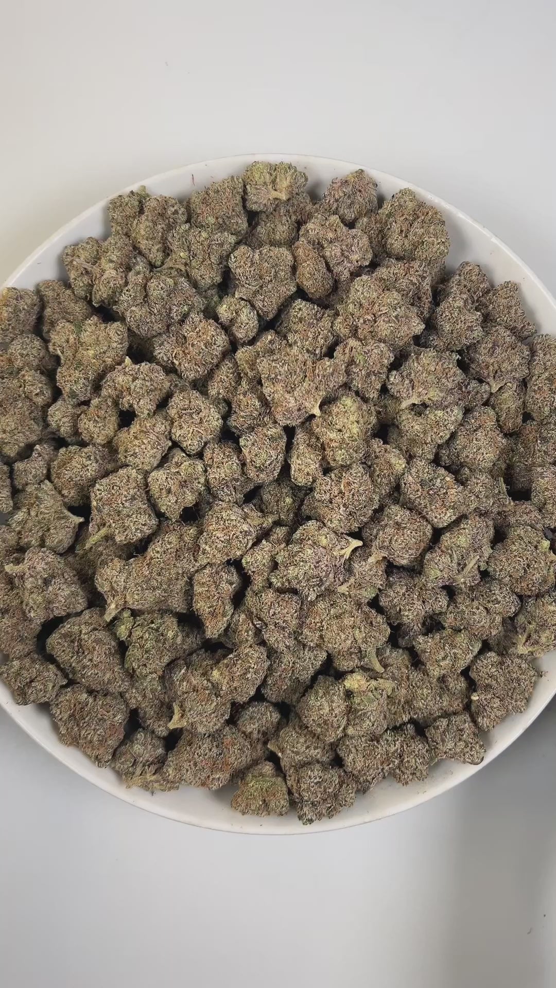 PUFFY Headband is a balanced hybrid THCa strain created by crossing cross OG Kush and Sour Diesel. The aroma bursts with zesty citrus, pungent diesel, and a bold, spicy kick. Visually, dense buds of deep forest green with lime highlights, bright orange pistils, and a frosty trichome coating. Consumers often experience an uplifting and euphoric high that sparks creativity while delivering deep, soothing body relief for tension and discomfort.