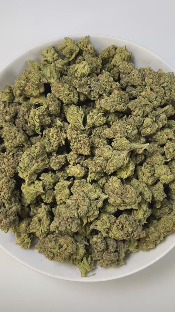 PUFFY Cheetah Piss is a balanced hybrid THCa strain, expertly bred from a powerhouse trio: Lemonnade, Gelato 42, and London Poundcake 97. The aroma bursts with vibrant tropical and fruity notes, layered with subtle hints of exotic spices that add depth and intrigue. Visually, the dense, vibrant green buds are frosted with trichomes, accented by orange pistils and occasional subtle purple hues. Consumers often experience an immediate, uplifting rush that sharpens focus and brings euphoric clarity, making soc