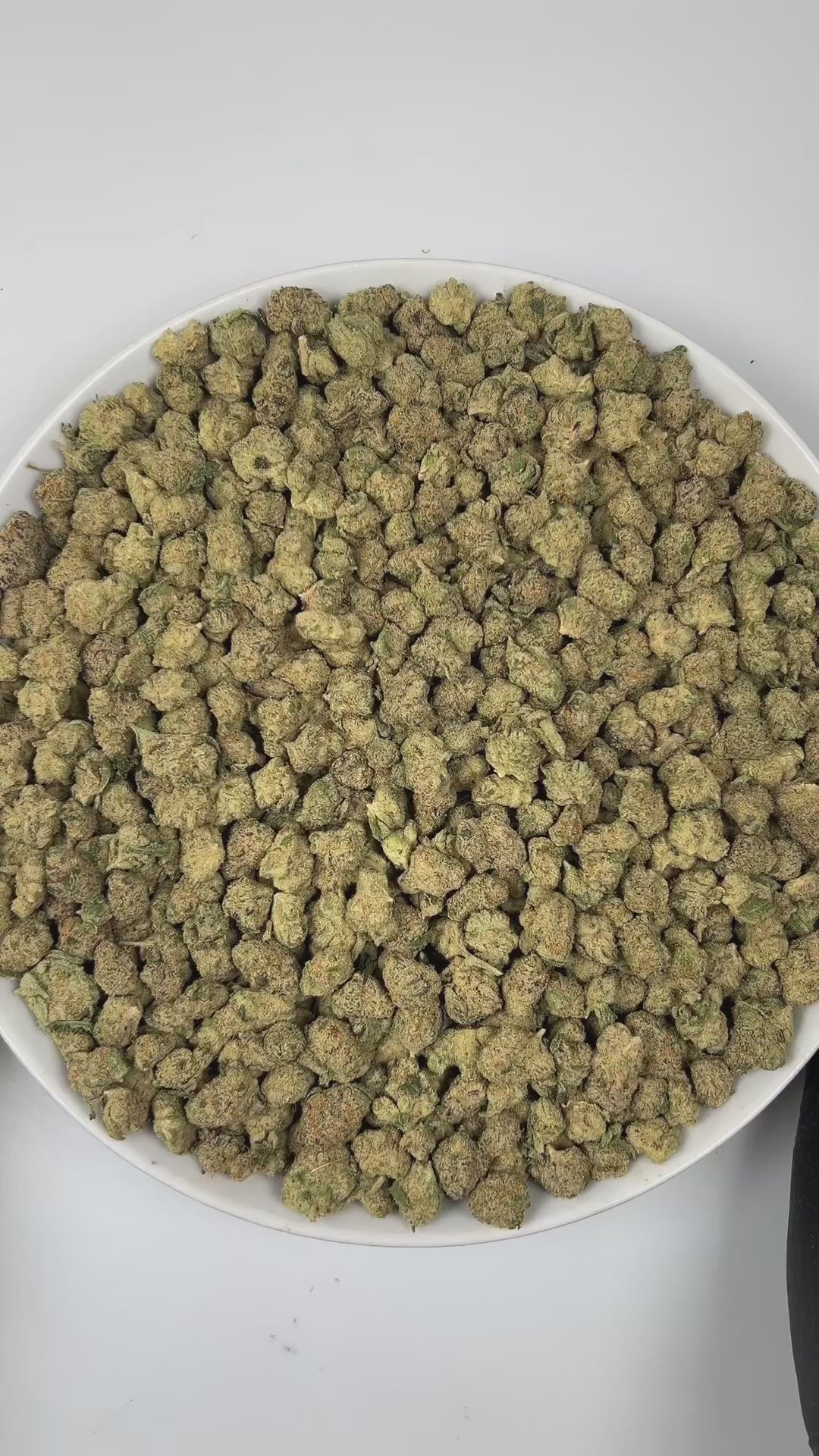 PUFFY Carbon Fiber (smalls) is a balanced hybrid THCa strain, created from a potent blend of Grape Pie, Biscotti, and Cookies & Cream. The aroma unfolds with a rich earthy base, complemented by smooth, creamy notes and a subtle, spicy hint of pepper. Visually, the buds are dense and striking, featuring deep green and purple hues, coated in frosty trichomes and accented with bright orange pistils. Consumers often describe the smoke as creamy and smooth, with a powerful high that feels giggly, tingly, and men