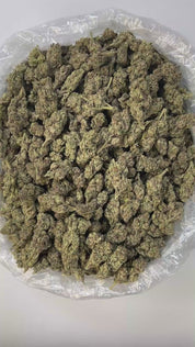 PUFFY Space Cakes is a balanced hybrid THCa strain created from the flavorful cross of Girl Scout Cookies (GSC) and Snow Lotus. Aroma is a striking fusion of sharp chemical notes layered with vibrant tropical undertones and soft floral hints, resulting in a bold yet balanced sensory experience that's both exotic and intriguing. Visually, the dense, grape-shaped buds range from forest to dark green, with bright orange pistils, frosty amber trichomes, and occasional purple hues. Consumers often report an upli
