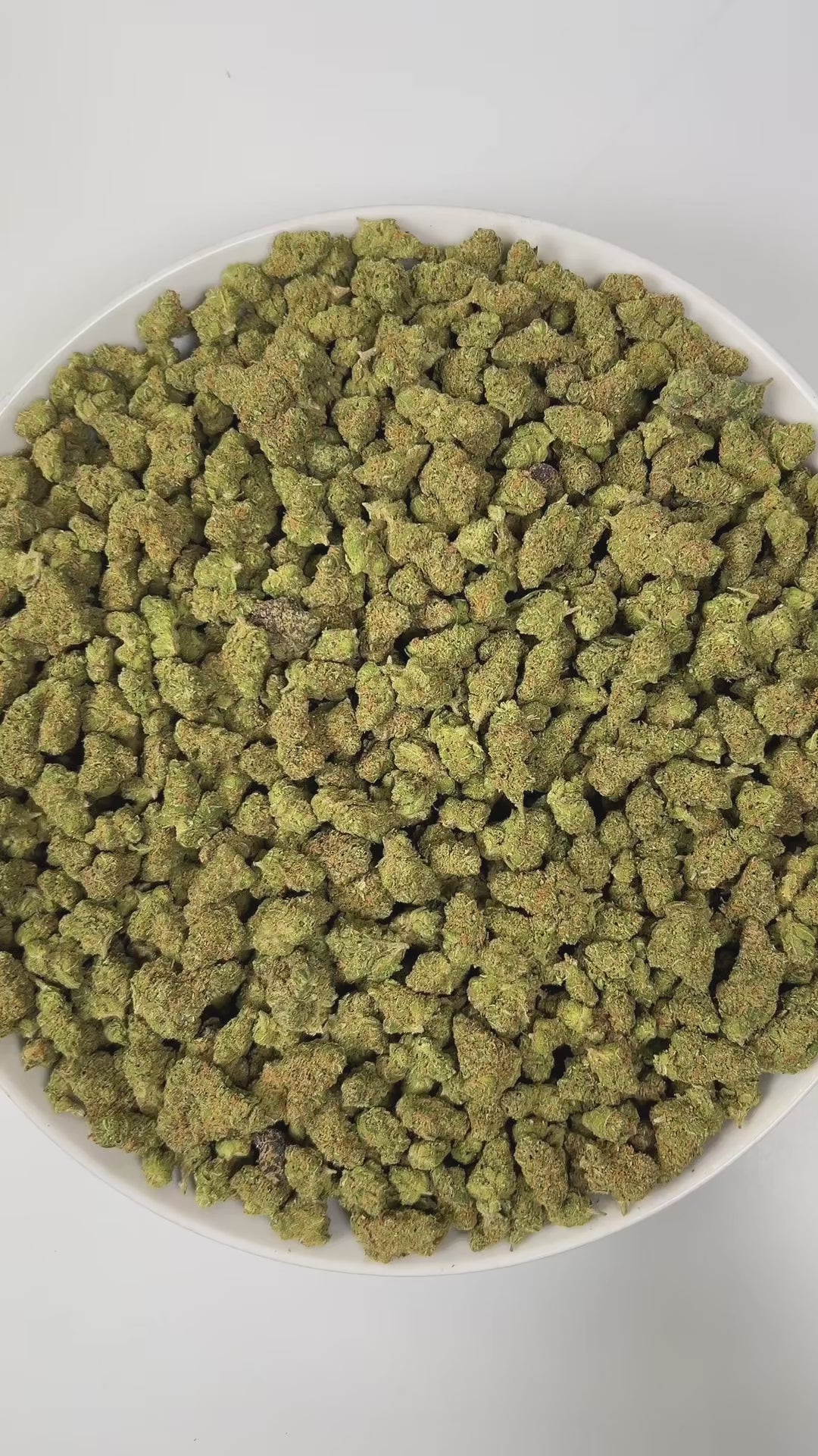 PUFFY Super Silver Haze (smalls) is a sativa-dominant hybrid THCa strain, expertly crafted from a flavorful and legendary three-way cross of Skunk #1, Northern Lights, and Haze. The aroma is a bold blend of funky, refreshing eucalyptus, and sharp diesel notes that immediately capture the senses. Visually, the buds are spade-shaped with a bright lime green hue, accented by fiery orange pistils and coated in a dense layer of silvery-white trichomes. Consumers often describe feeling a surge of energy, heighten
