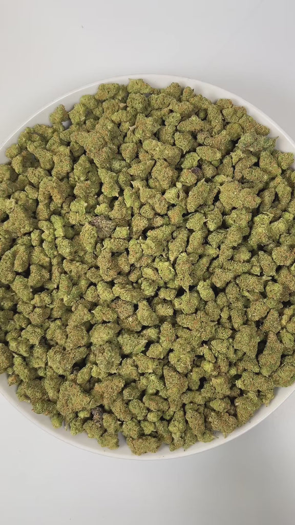 PUFFY Super Silver Haze (smalls) is a sativa-dominant hybrid THCa strain, expertly crafted from a flavorful and legendary three-way cross of Skunk #1, Northern Lights, and Haze. The aroma is a bold blend of funky, refreshing eucalyptus, and sharp diesel notes that immediately capture the senses. Visually, the buds are spade-shaped with a bright lime green hue, accented by fiery orange pistils and coated in a dense layer of silvery-white trichomes. Consumers often describe feeling a surge of energy, heighten