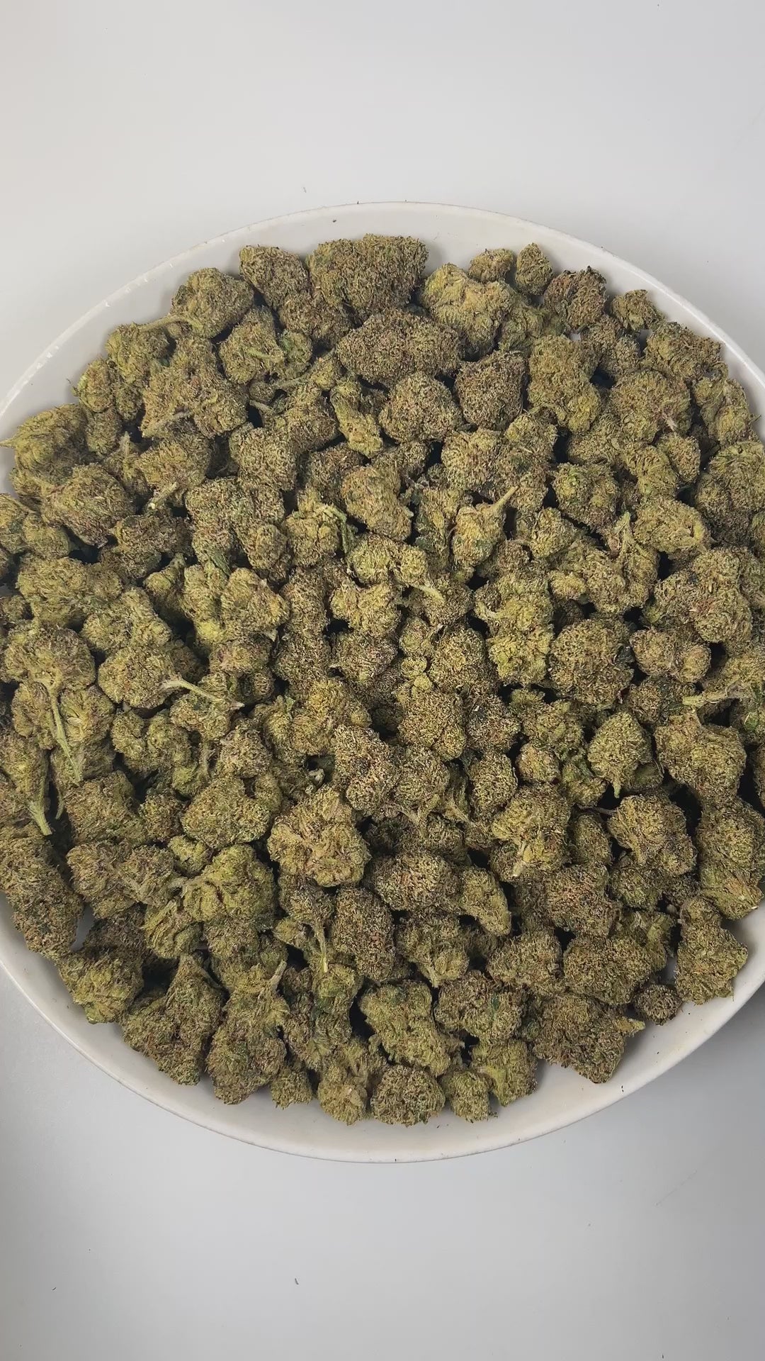PUFFY Lemon Cherry Gelato is an indica-dominant  hybrid THCa strain, expertly crafted from a potent cross between Sunset Sherbet and Girl Scout Cookies. The aroma is a bright and zesty mix of tangy lemon, sweet candy, and grounding earthy notes. Visually, buds are dense and frosty, featuring deep green and purple hues with bright orange pistils and a thick coating of sparkling trichomes. Consumers often report an initial wave of uplifted, happy euphoria, followed by a soothing body relaxation accompanied by