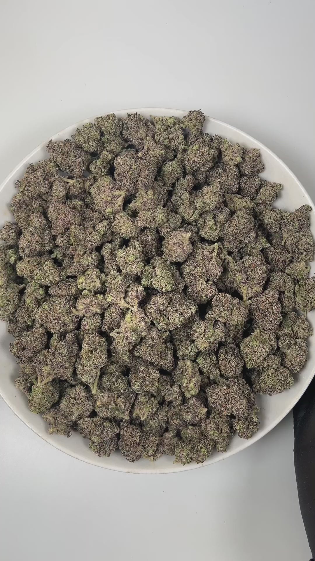 PUFFY Gobbstopper is a balanced hybrid THCa strain, meticulously crafted through the expert crossbreeding of Purple Urkle and Sin City Kush. The aroma bursts with a vibrant blend of grape and berry notes, complemented by earthy undertones and a zesty, invigorating finish. Visually, the buds are dense, with deep green and purple hues, bright orange pistils, and a sparkling coating of trichomes. Consumers often report a balanced experience of relaxation, euphoria, and uplifted mood, creating a pleasant and en